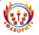 Логотип организации МБУ ДО «ДЮСШ «Фаворит»