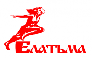 Логотип организации ГАУ РО «СШ «Елатьма»