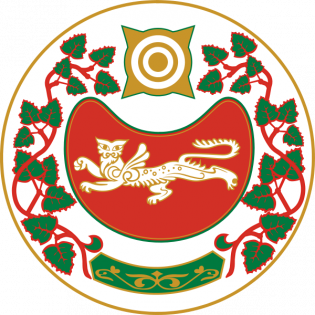Логотип организации РОО "Федерация Баскетбола Республики Хакасии"