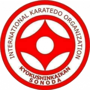 Organization logo ДМ "Федерация Кёкусинкай каратэ Тюменской области»