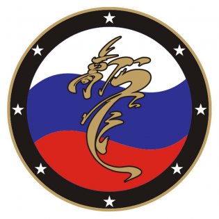 Логотип организации РОСО "Федерация ушу Алтайского края"
