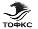 Логотип организации РОО "Тамбовская областная федерация конного спорта"
