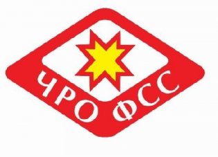 Логотип организации ЧРО ООФСО "Федерация спорта слепых"