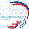 Логотип организации МАУ «СКК «Союз»