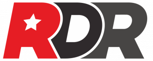 Логотип организации Всероссийская лига дрон-рейстинга