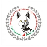 Логотип организации Тамбовская РФСОО «Федерация спортивного ориентирования Тамбовской области»