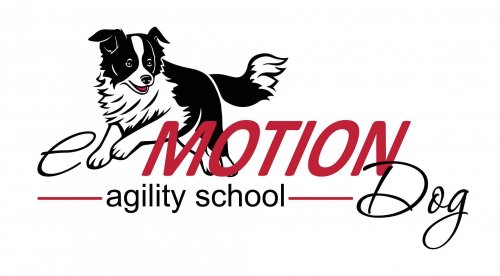 Логотип организации Школа Аджилити eMotionDog