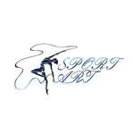 Логотип организации СК «Sport Art»
