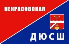 Логотип организации МУ ДО Некрасовская ДЮСШ