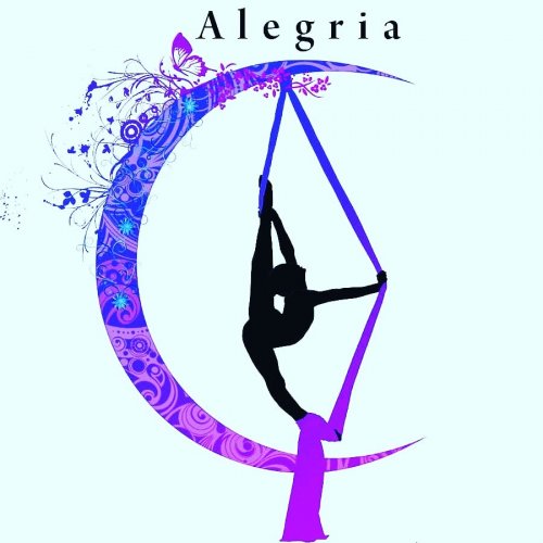 Логотип организации Alegria