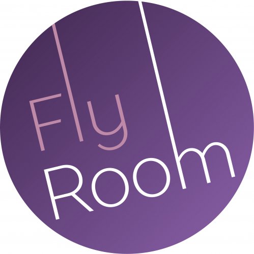 Логотип организации FlyRoom