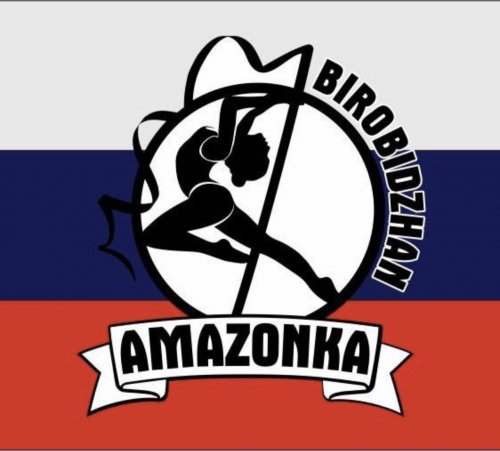 Спортивная школа воздушной гимнастики AMAZONKA