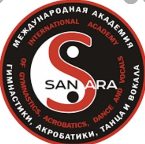 Логотип организации SanSara