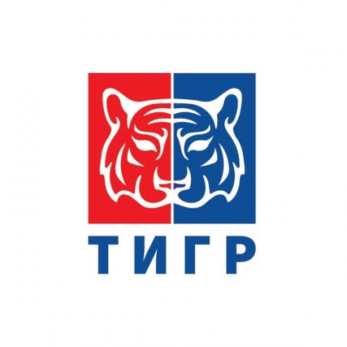 Логотип организации АНО СРК «Тигр»