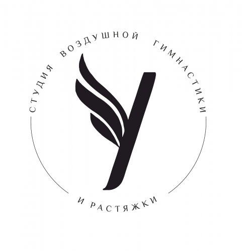 Студия воздушной гимнастики и растяжки YAVA