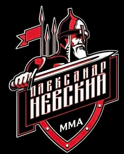 МАУ СШОР им. А. Невского