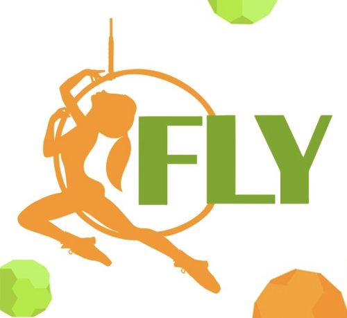 Школа воздушной гимнастики Fly