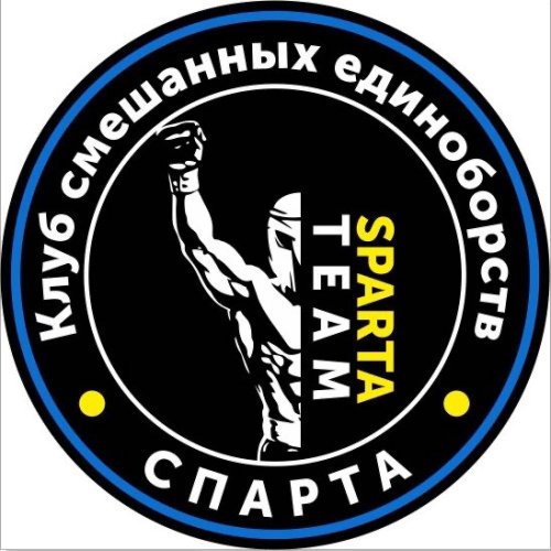 Логотип организации Sparta