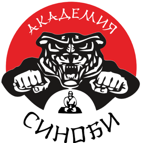 Краснодарская академия боевых искусств "Синоби"