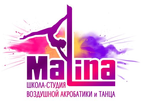 Логотип организации Школа-студия воздушной акробатики и танца «МАЛИНА»