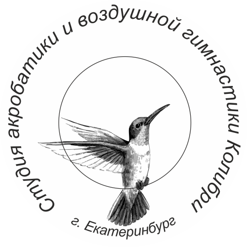 Логотип организации Студия акробатики и воздушной гимнастики Колибри