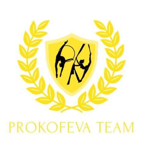 Логотип организации PROKOFEVA TEAM