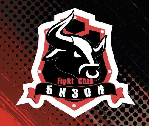 Organization logo fight club БИЗОН