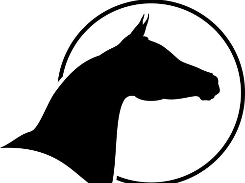 Логотип организации КФХ Дольчи Зарра