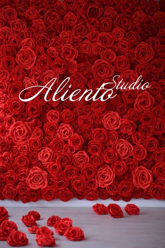Логотип организации Aliento