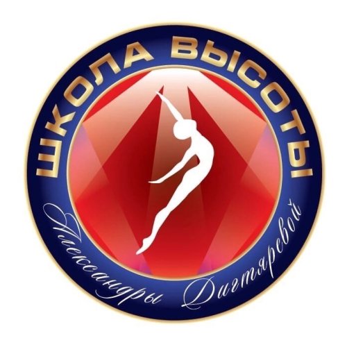 Organization logo Школа Высоты Александры Дигтярёвой