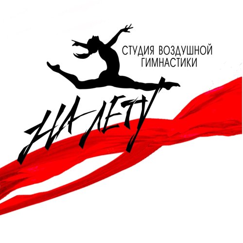 Логотип организации Студия воздушной гимнастики На Лету