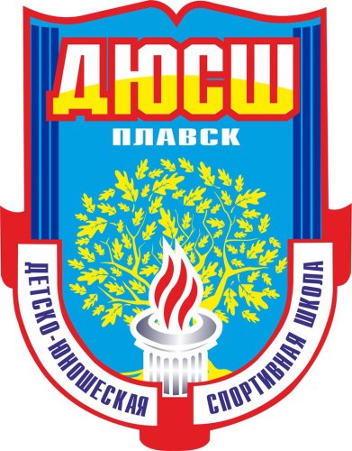 МБУ ДО МО ПЛАВСКИЙ РАЙОН "ДЮСШ"