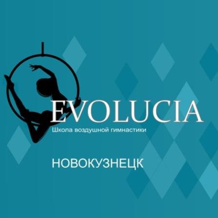 Эволюция школа воздушной гимнастики