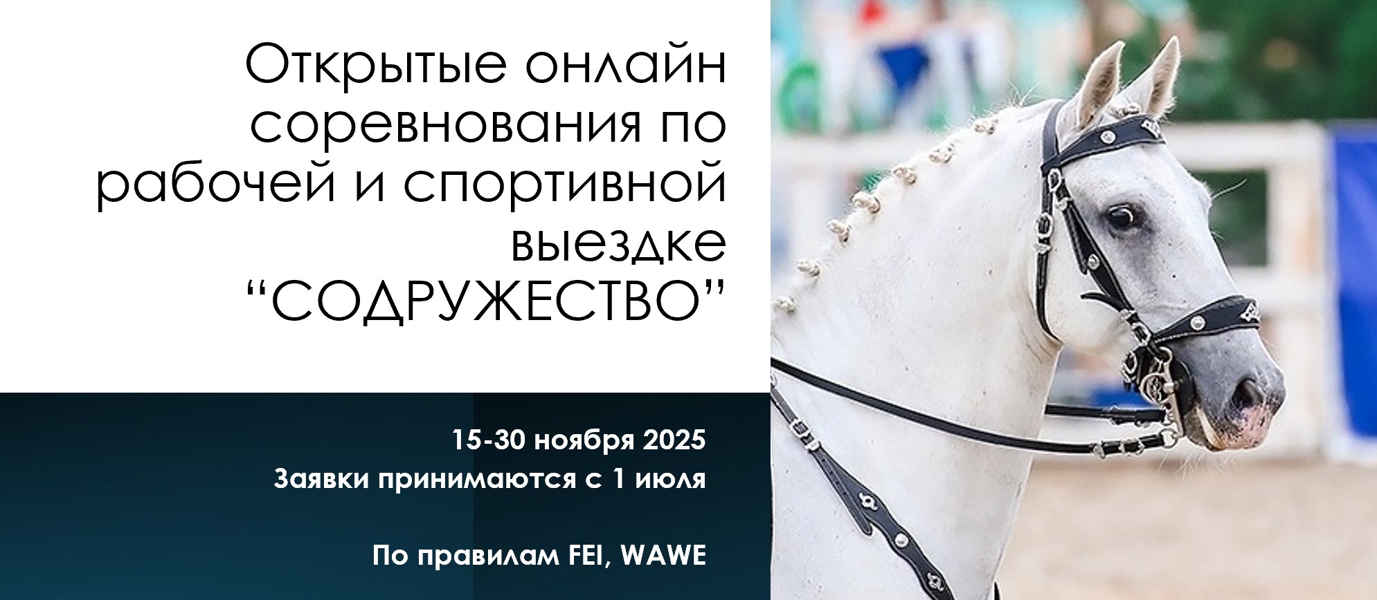 Афиша мероприятия