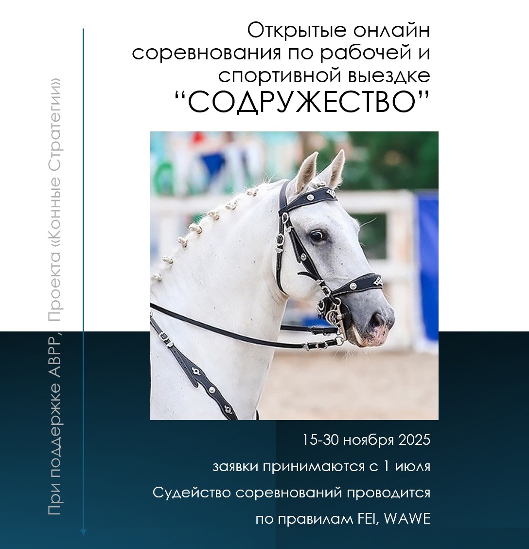 Афиша мероприятия